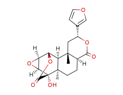 Palmarin